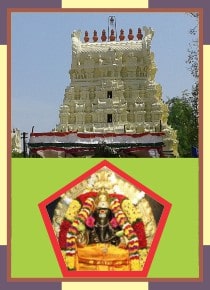 Thirupaachur - Vaaseswarar Temple Shodasa Ganapathi Puja